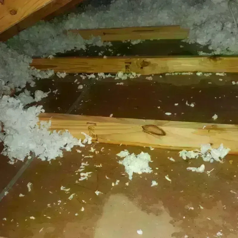 Attic Water Damage in Poland, OH