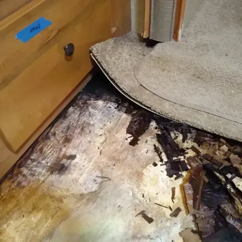 Best Wood Floor Water Damage Service in Poland, OH